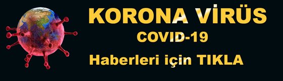1korona-017.jpg