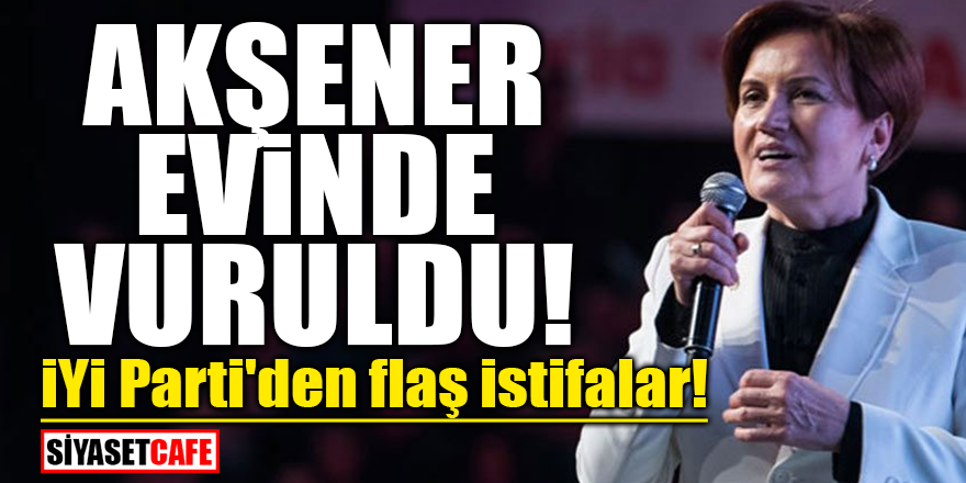 aksener-003.png