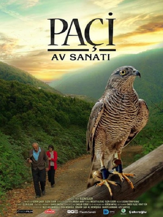 av-sanati-siyasetafe.jpg