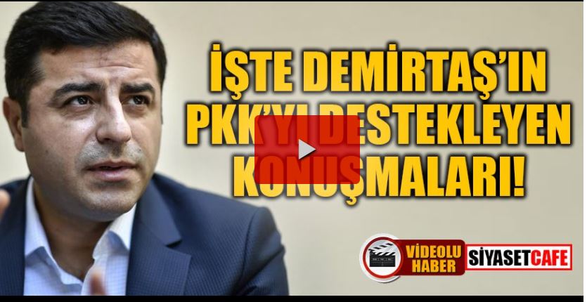 demirtas.JPG