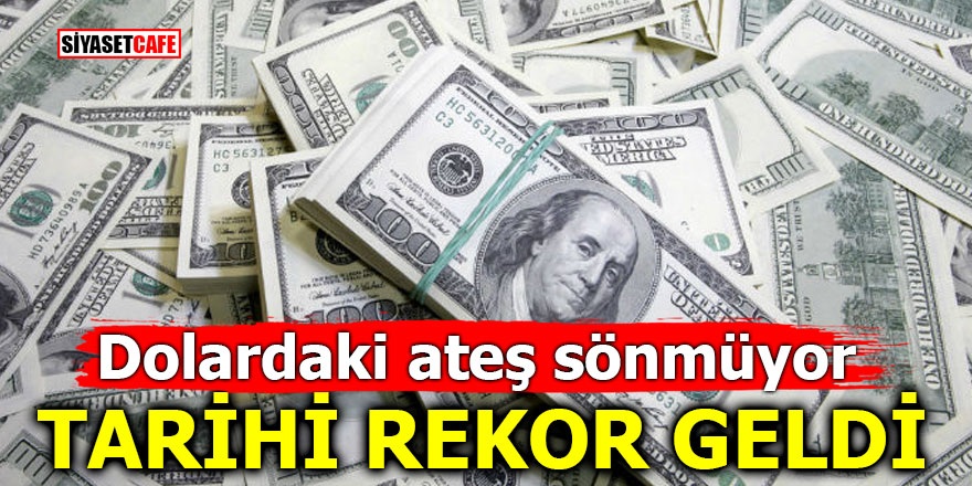 dolar-001.jpg