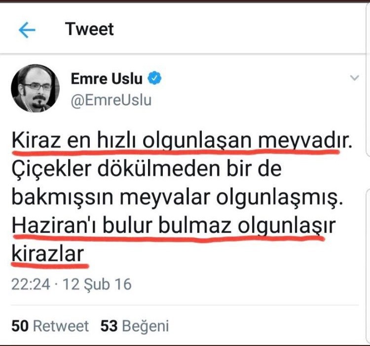 emrekiraz.jpg