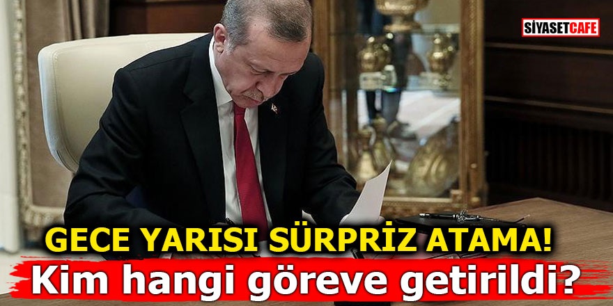 erdogan-017.jpg