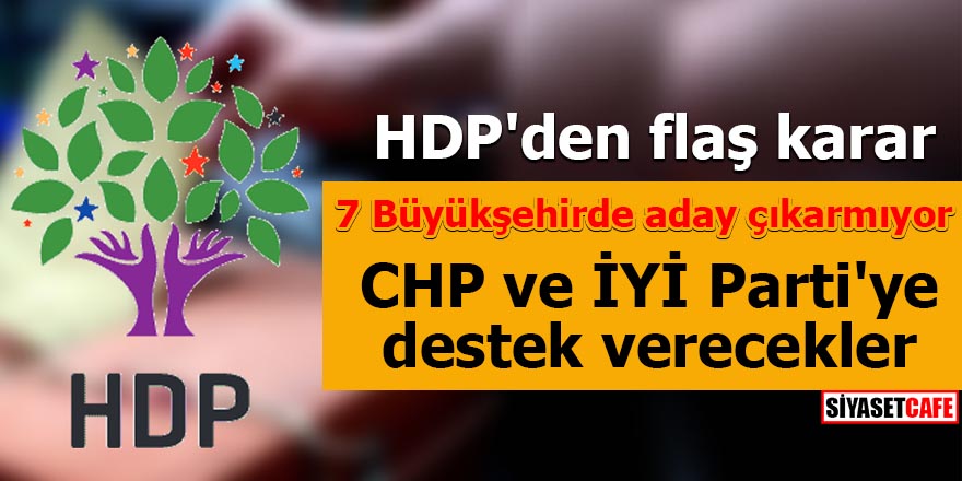 hdp-004.jpg