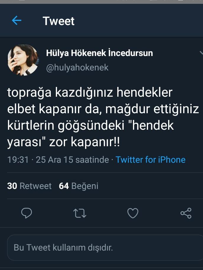 hulya-hokenek-tweet-siyasetcafe1.jpeg