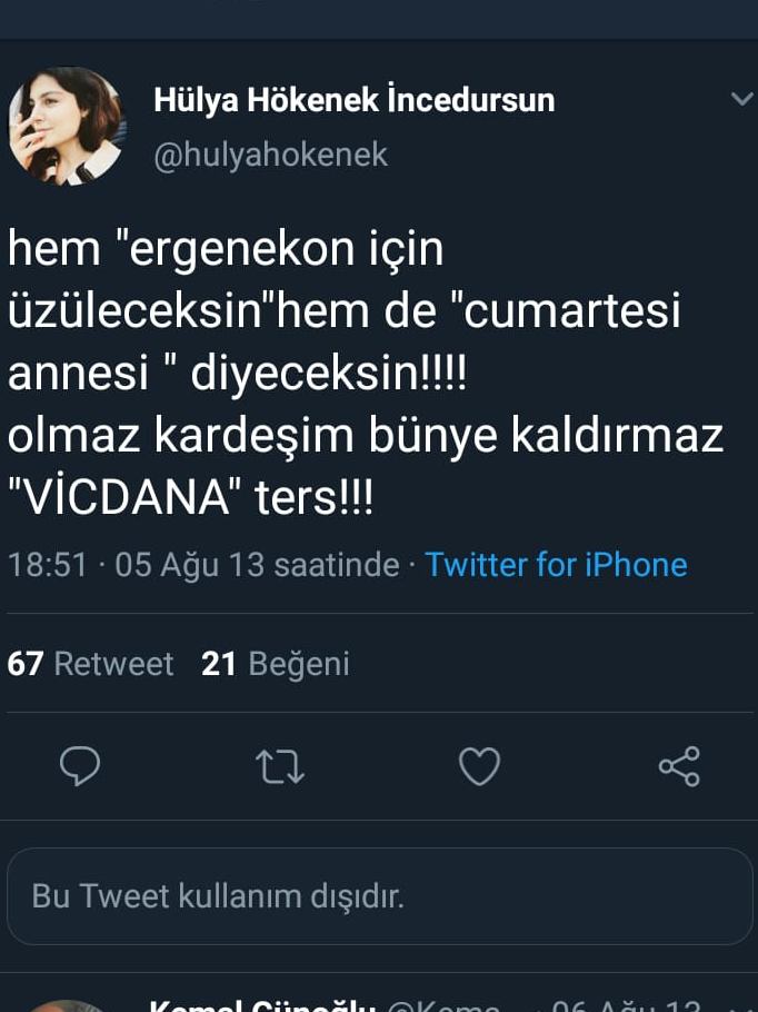 hulya-hokenek-tweet-siyasetcafe6.jpeg