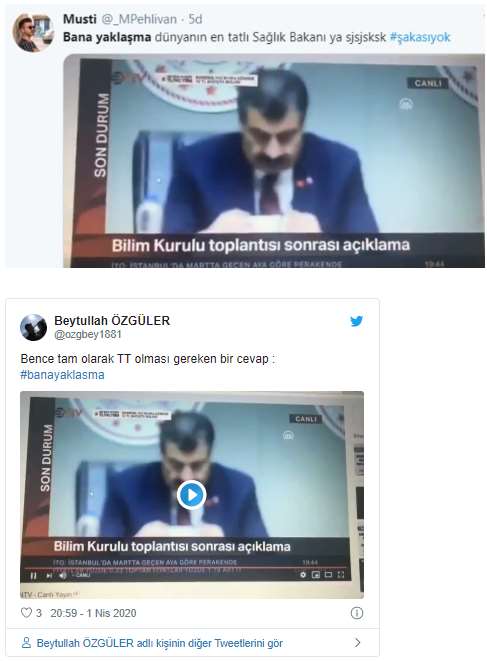 koca3.jpg