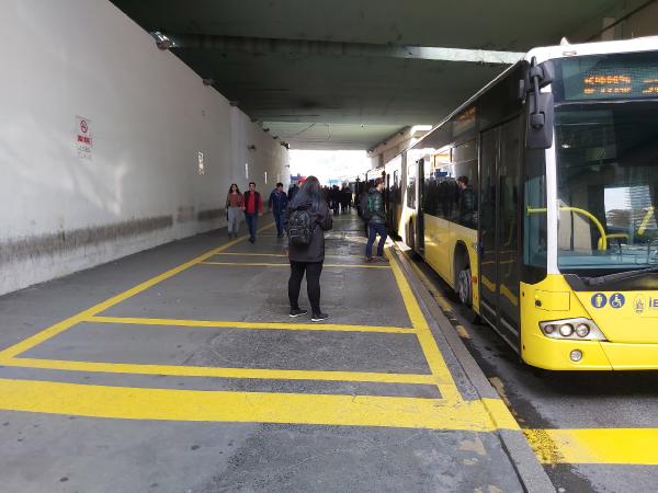 metrobus-2.jpg