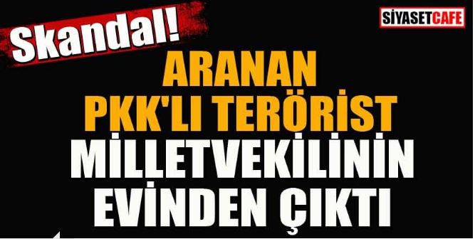 pkkli-terorist.JPG