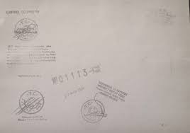 recep-tayyip-erdogan-diploma.jpg