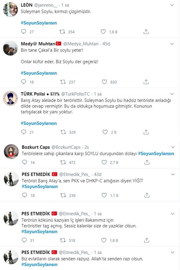 soylu1.JPG